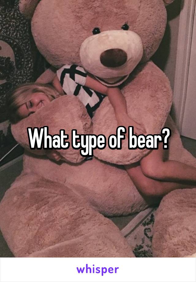 What type of bear?