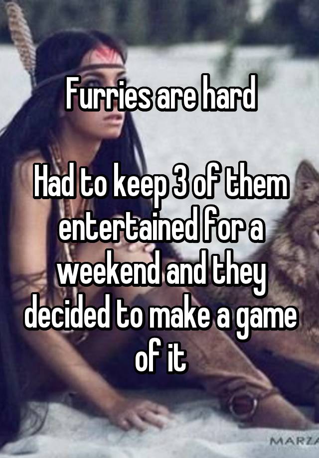 Furries are hard

Had to keep 3 of them entertained for a weekend and they decided to make a game of it