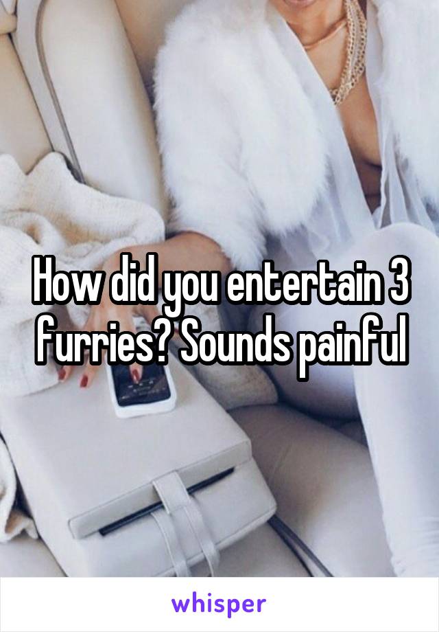 How did you entertain 3 furries? Sounds painful