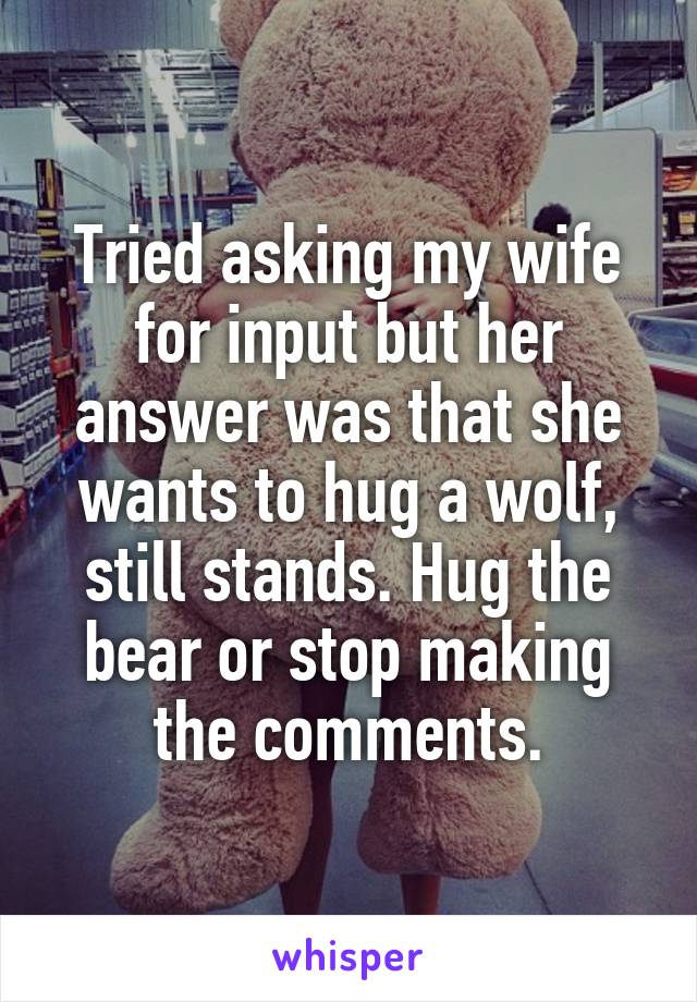 Tried asking my wife for input but her answer was that she wants to hug a wolf, still stands. Hug the bear or stop making the comments.