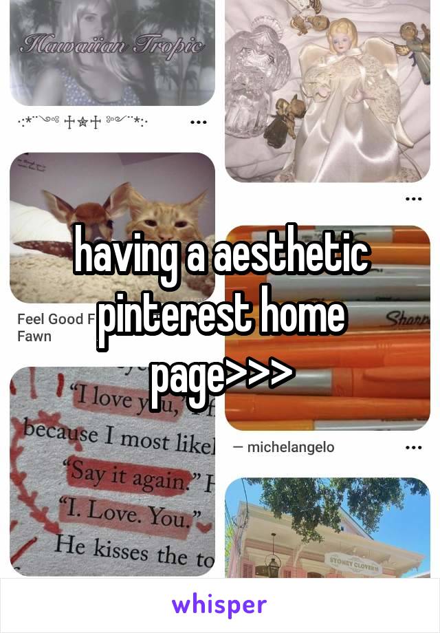 having a aesthetic pinterest home page>>>