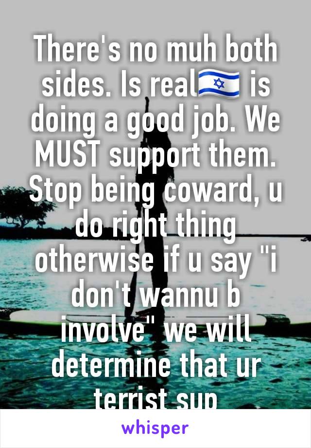 There's no muh both sides. Is real🇮🇱 is doing a good job. We MUST support them. Stop being coward, u do right thing otherwise if u say "i don't wannu b involve" we will determine that ur terrist sup