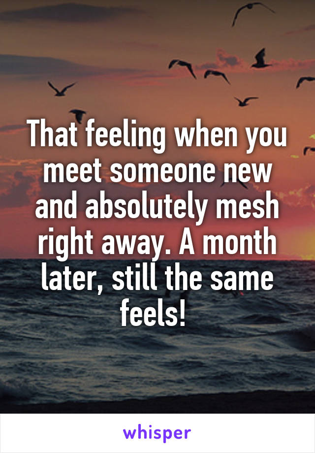 That feeling when you meet someone new and absolutely mesh right away. A month later, still the same feels! 