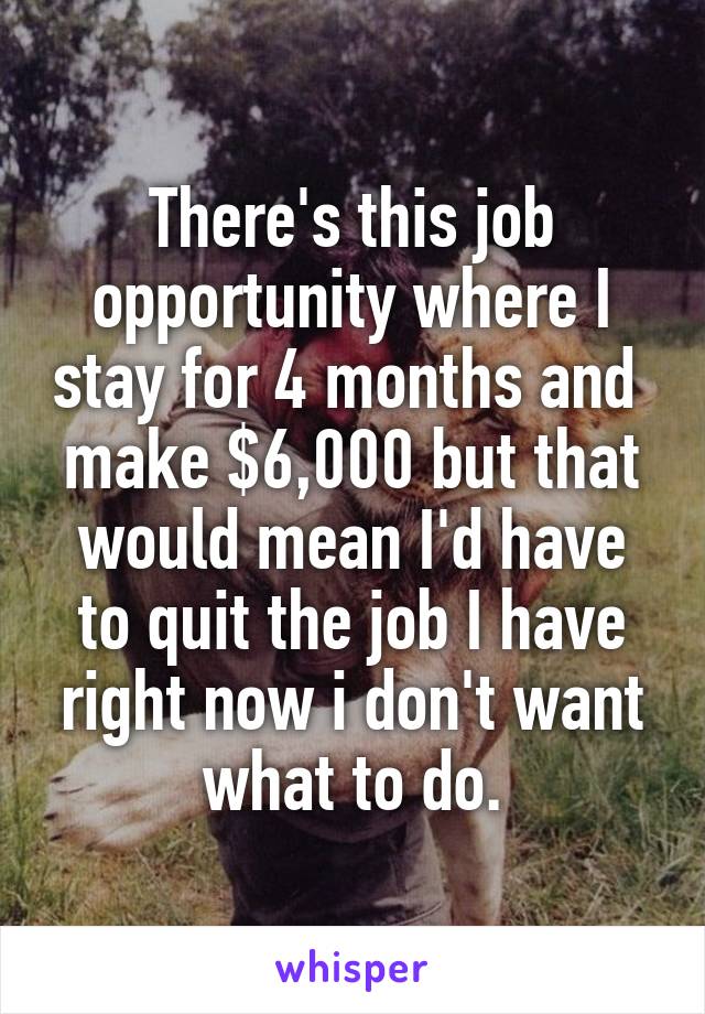 There's this job opportunity where I stay for 4 months and  make $6,000 but that would mean I'd have to quit the job I have right now i don't want what to do.