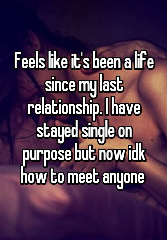 Feels like it's been a life since my last relationship. I have stayed single on purpose but now idk how to meet anyone 