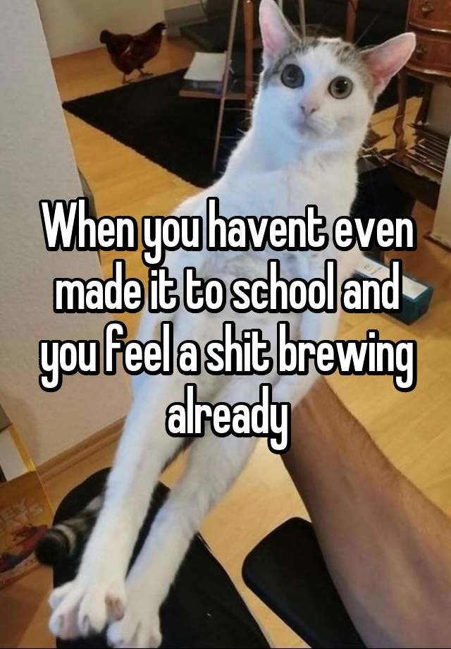 When you havent even made it to school and you feel a shit brewing already