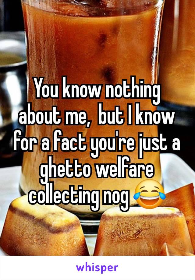 You know nothing about me,  but I know for a fact you're just a ghetto welfare collecting nog 😂