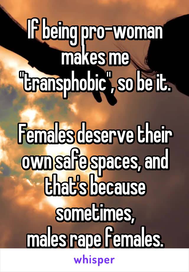 If being pro-woman makes me "transphobic", so be it.

Females deserve their own safe spaces, and that's because sometimes,
males rape females.