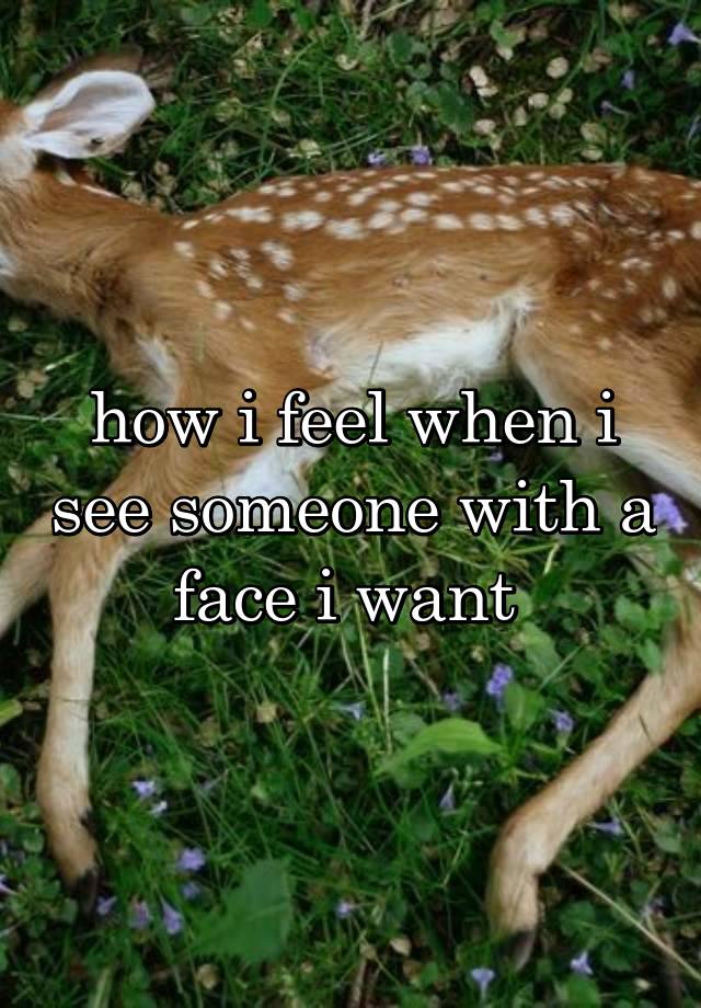 how i feel when i see someone with a face i want 