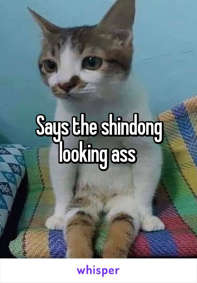 Says the shindong looking ass 