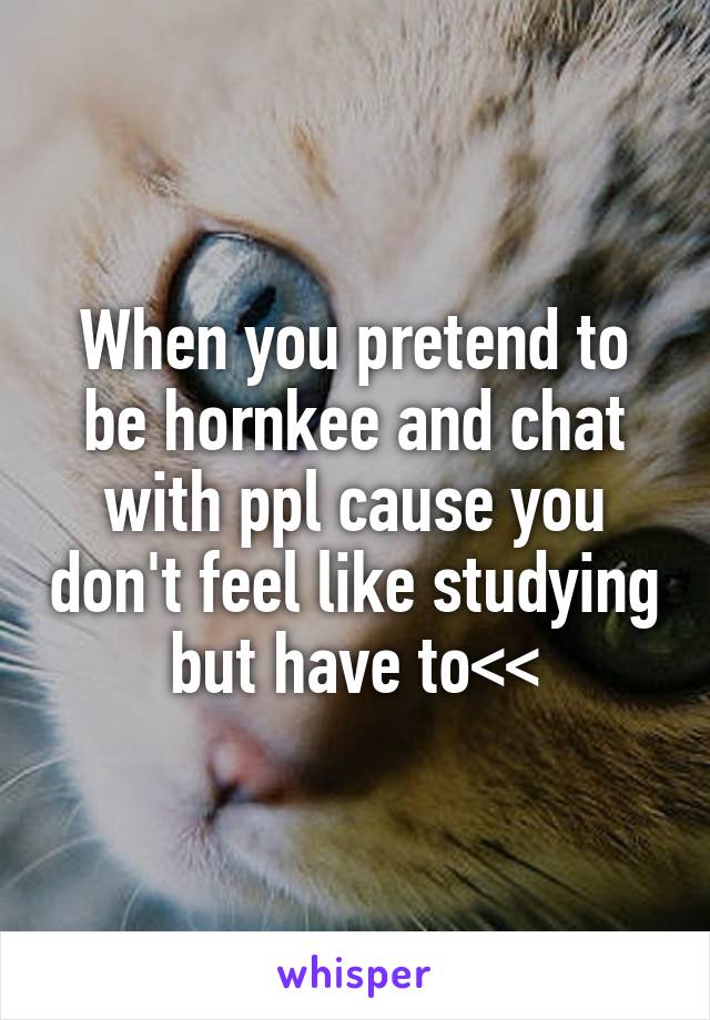 When you pretend to be hornkee and chat with ppl cause you don't feel like studying but have to<<