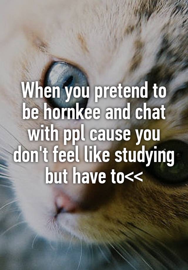 When you pretend to be hornkee and chat with ppl cause you don't feel like studying but have to<<