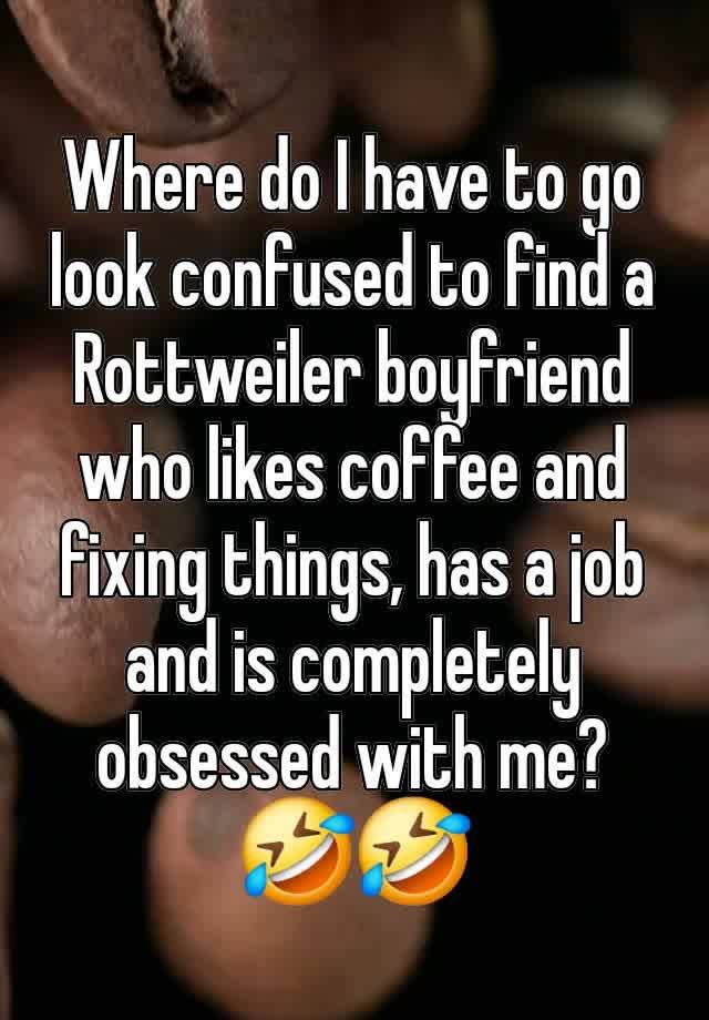 Where do I have to go look confused to find a Rottweiler boyfriend who likes coffee and fixing things, has a job and is completely obsessed with me? 🤣🤣