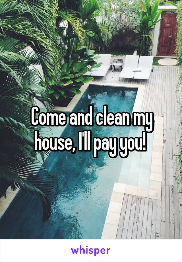 Come and clean my house, I'll pay you! 
