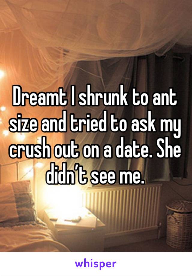 Dreamt I shrunk to ant size and tried to ask my crush out on a date. She didn’t see me.