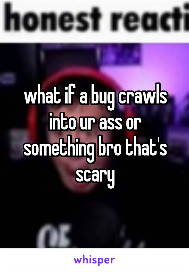 what if a bug crawls into ur ass or something bro that's scary