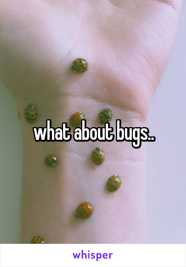 what about bugs..