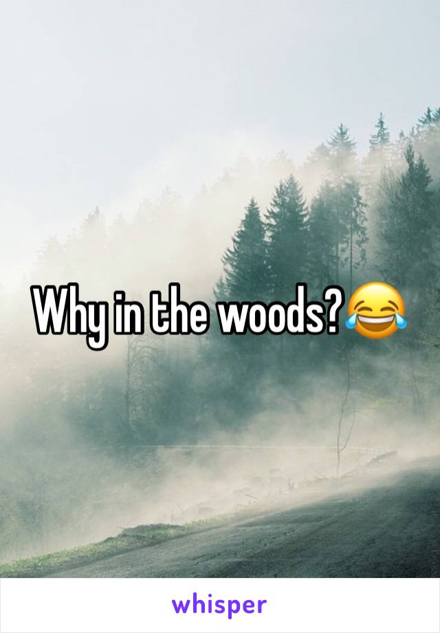 Why in the woods?😂