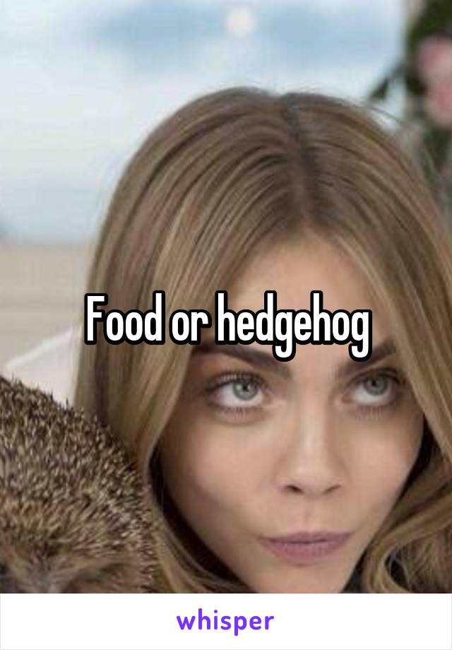 Food or hedgehog