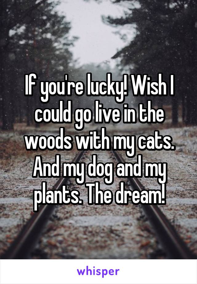 If you're lucky! Wish I could go live in the woods with my cats. And my dog and my plants. The dream!