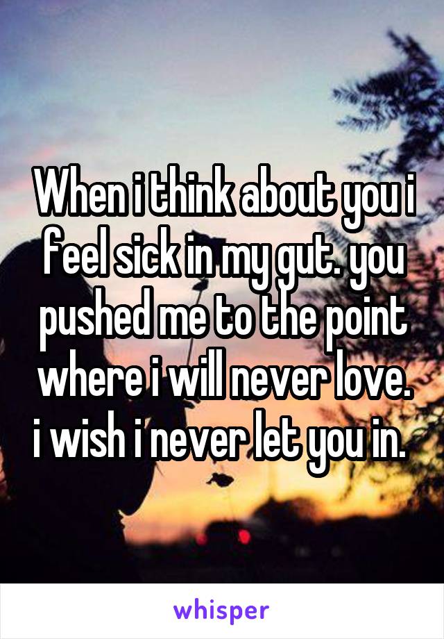 When i think about you i feel sick in my gut. you pushed me to the point where i will never love. i wish i never let you in. 