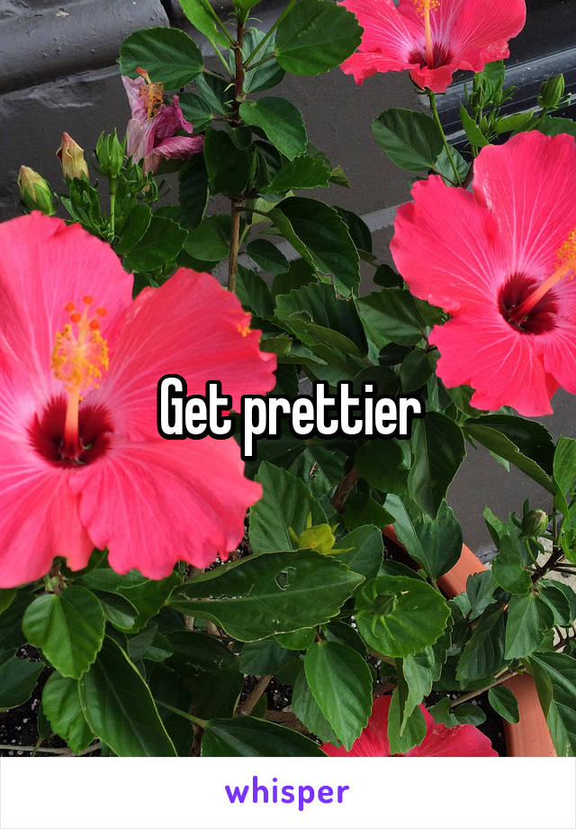 Get prettier