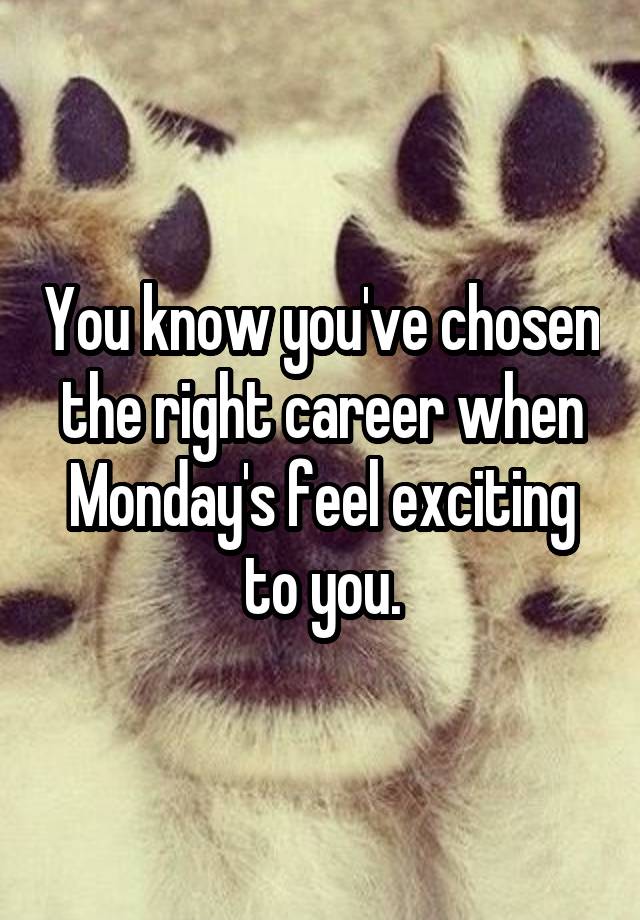 You know you've chosen the right career when Monday's feel exciting to you.