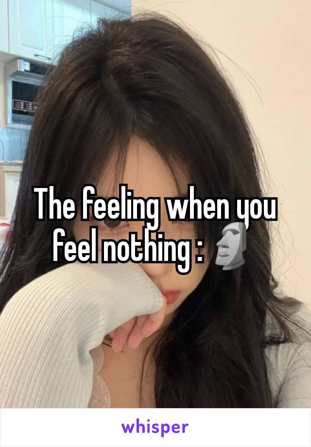 The feeling when you feel nothing :🗿