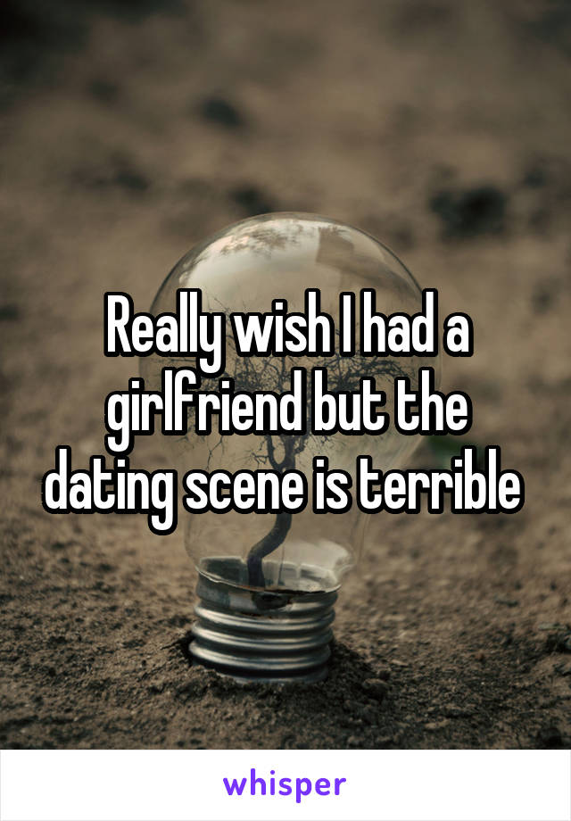 Really wish I had a girlfriend but the dating scene is terrible 