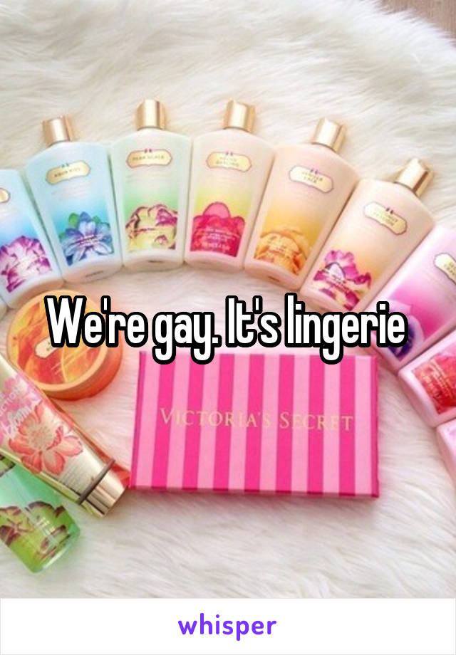 We're gay. It's lingerie 