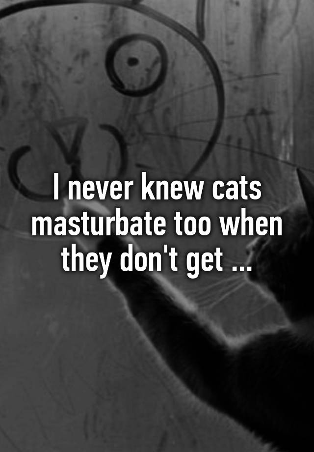 I never knew cats masturbate too when they don't get ...