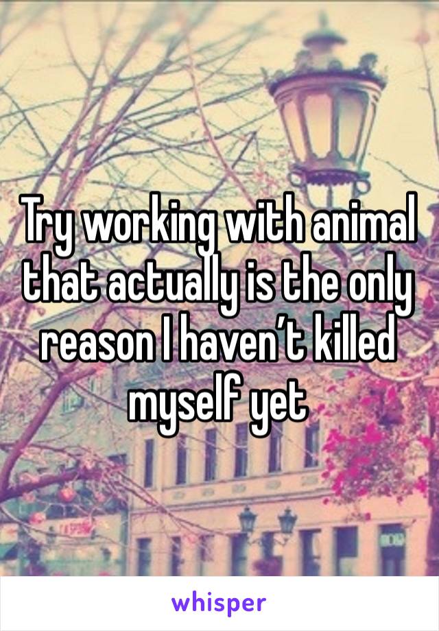 Try working with animal that actually is the only reason I haven’t killed myself yet