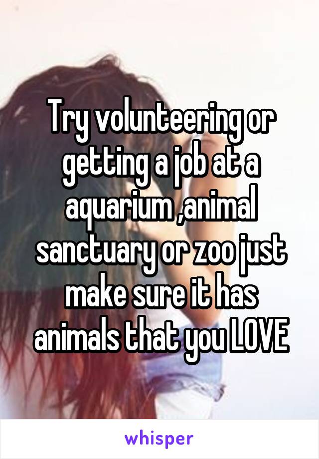 Try volunteering or getting a job at a aquarium ,animal sanctuary or zoo just make sure it has animals that you LOVE