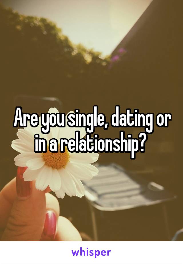 Are you single, dating or in a relationship? 