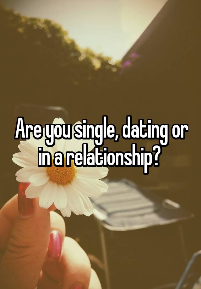 Are you single, dating or in a relationship? 