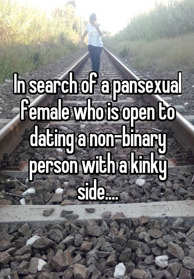 In search of a pansexual female who is open to dating a non-binary person with a kinky side....