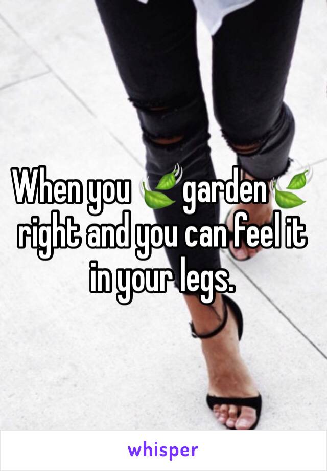 When you 🍃garden🍃 right and you can feel it in your legs. 