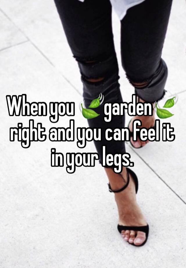 When you 🍃garden🍃 right and you can feel it in your legs. 