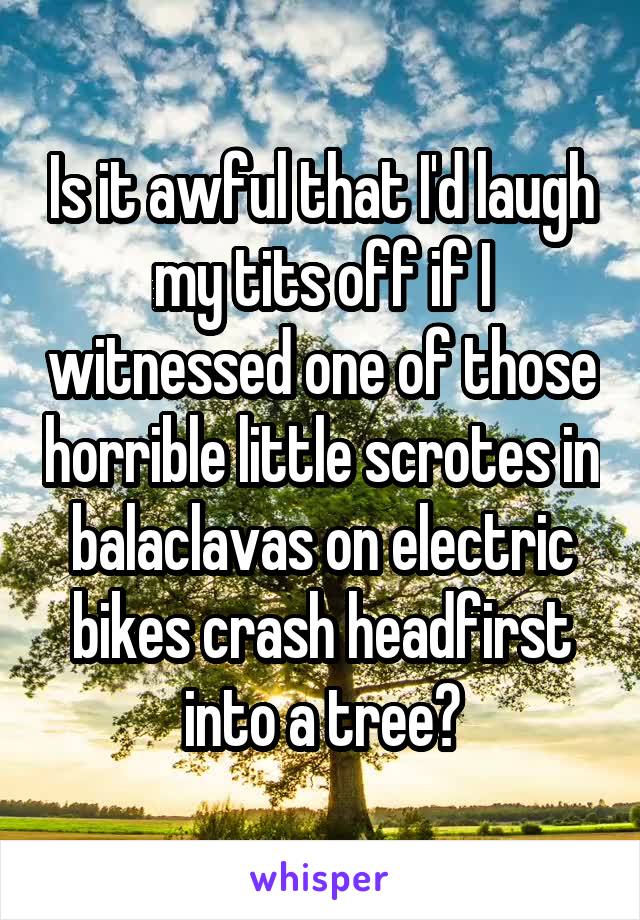 Is it awful that I'd laugh my tits off if I witnessed one of those horrible little scrotes in balaclavas on electric bikes crash headfirst into a tree?