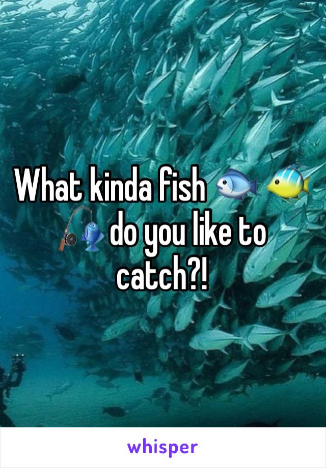 What kinda fish 🐟 🐠🎣 do you like to catch?! 