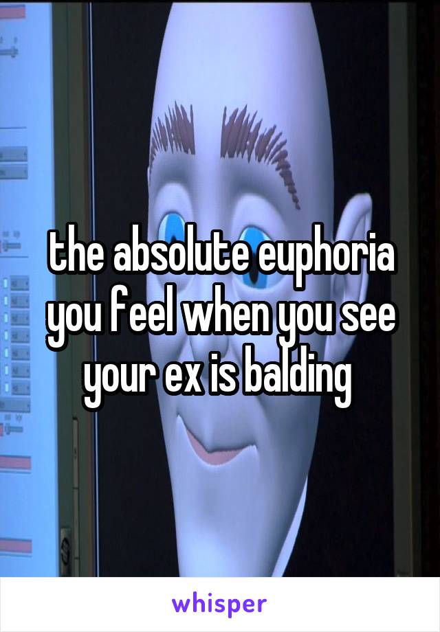 the absolute euphoria you feel when you see your ex is balding 