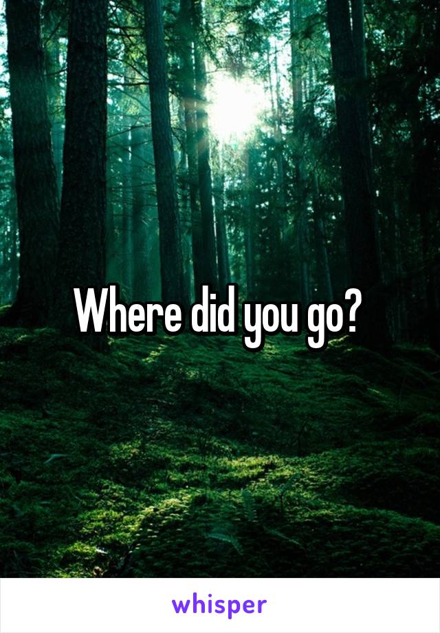 Where did you go? 