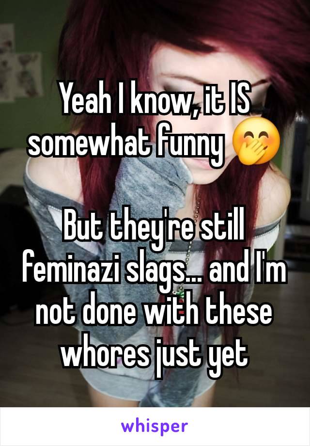 Yeah I know, it IS somewhat funny 🤭

But they're still feminazi slags... and I'm not done with these whores just yet