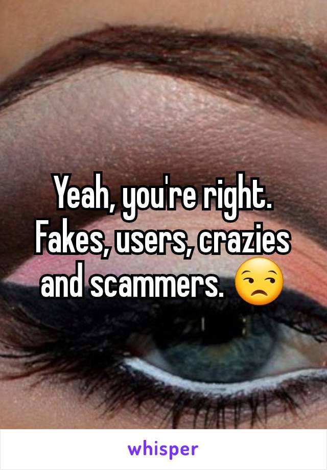 Yeah, you're right. Fakes, users, crazies and scammers. 😒