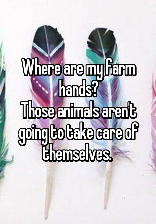 Where are my farm hands?
Those animals aren't going to take care of themselves. 