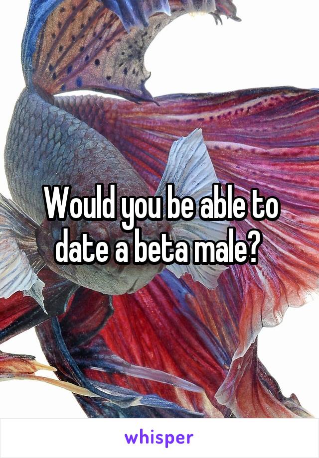 Would you be able to date a beta male? 