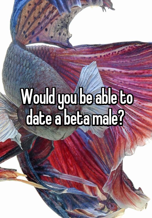 Would you be able to date a beta male? 