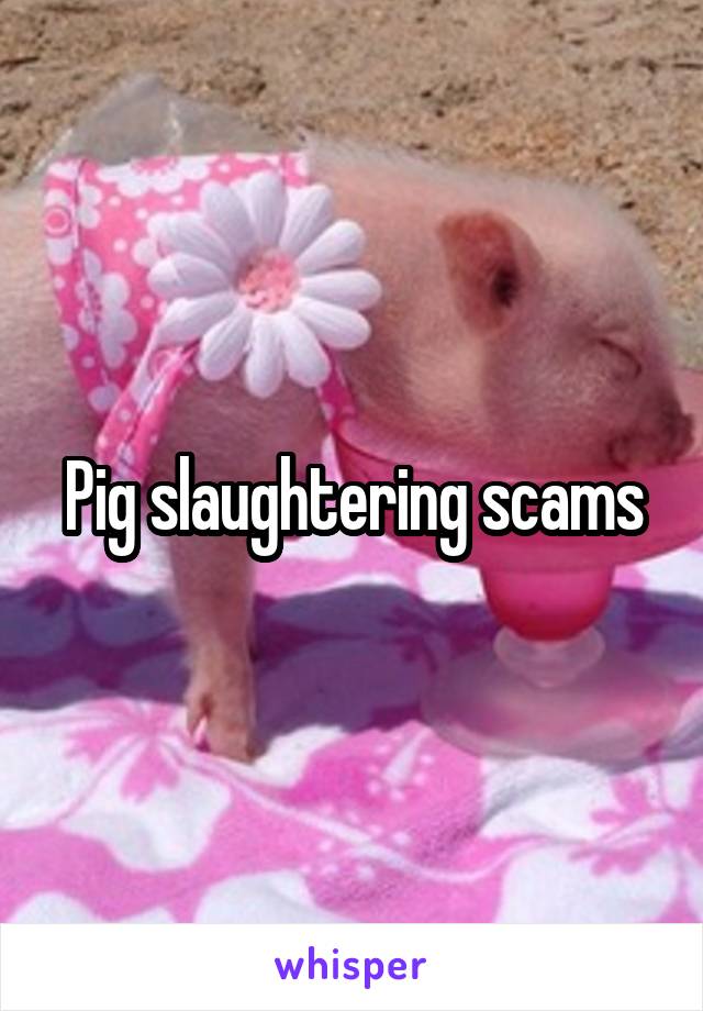 Pig slaughtering scams