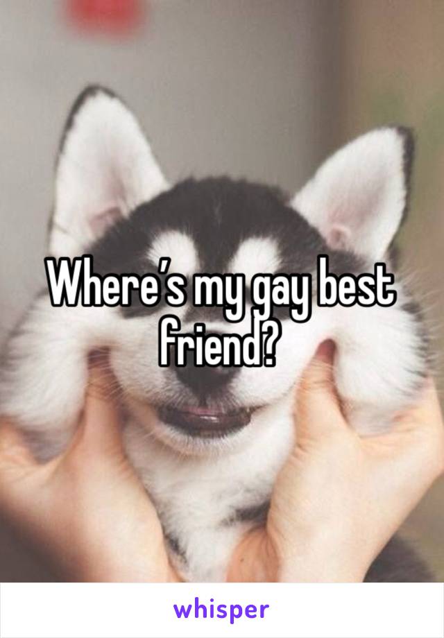 Where’s my gay best friend?