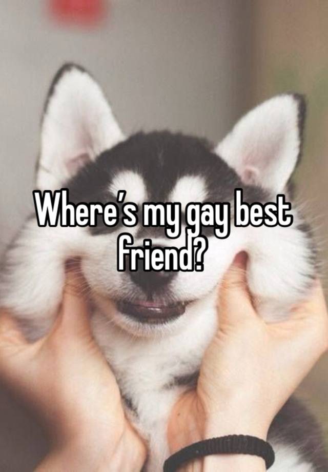 Where’s my gay best friend?